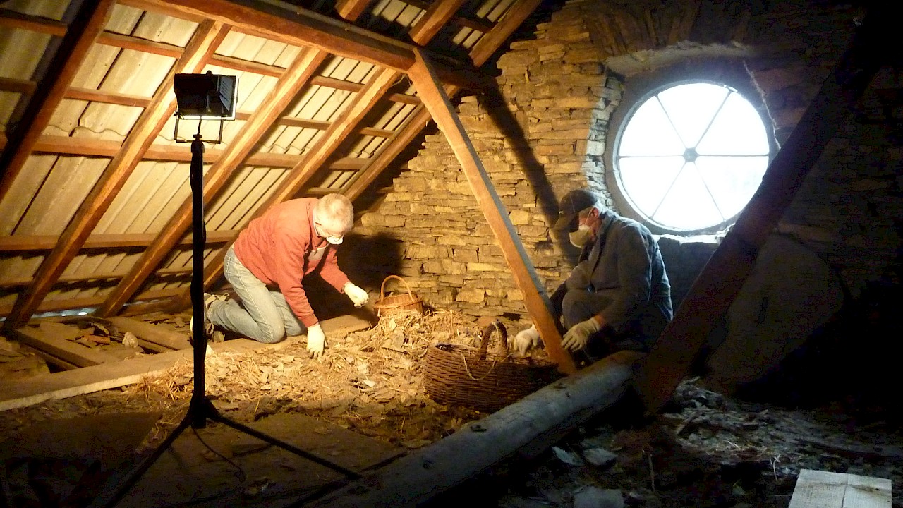 Bergung von Funden, © Kultur- und Heimatverein Niederzissen e.V.